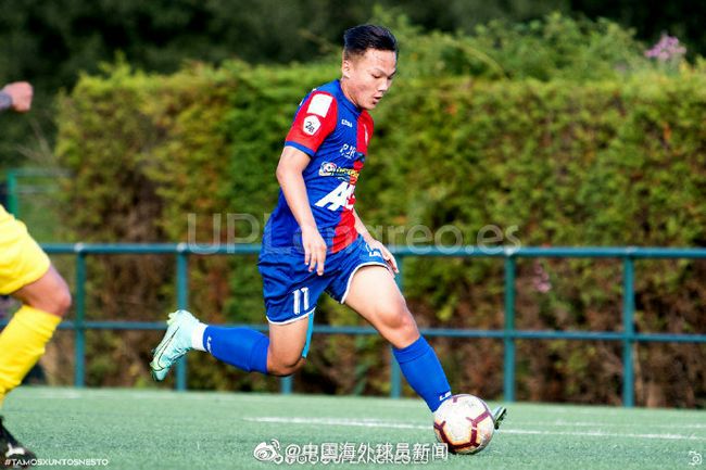 久草综合在线观看