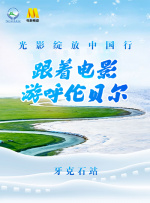 动物胶配方的视频高清观看