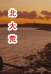 国产一区二区三区在线