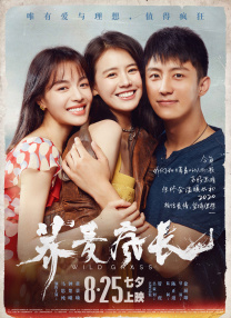 赶集的妇人