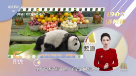 男女啪啪网